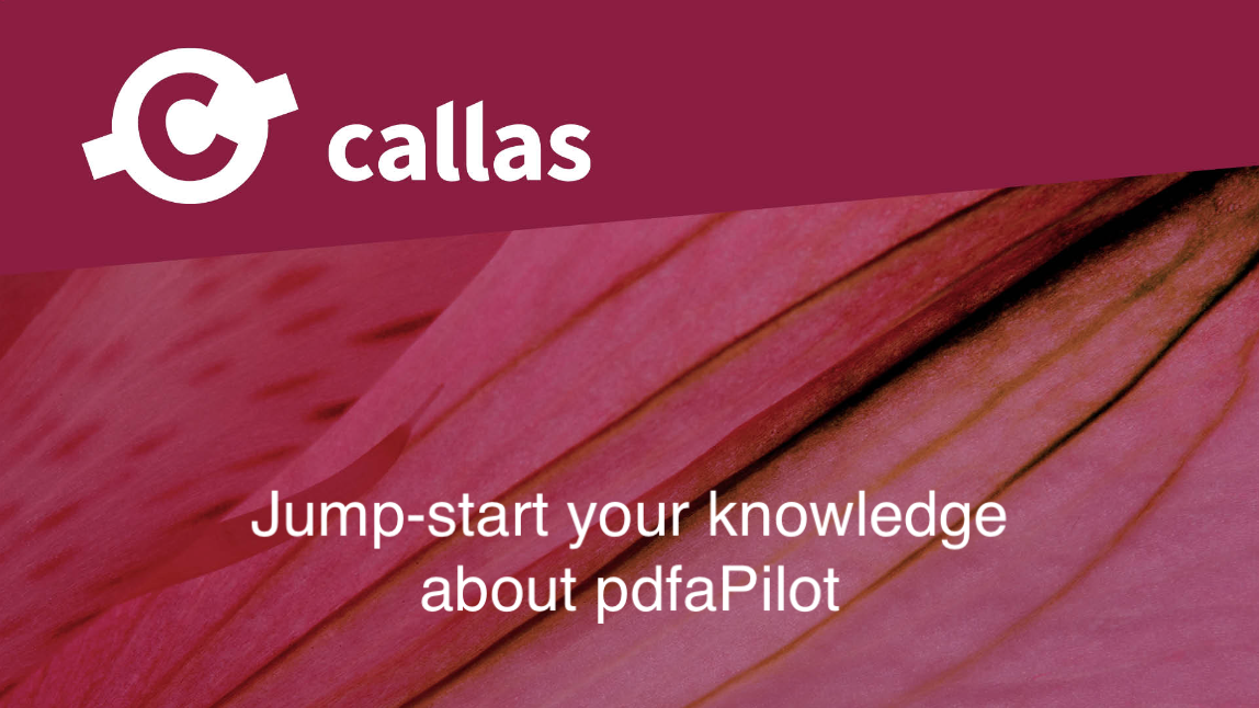 Webinar - Jump-start your knowledge about pdfaPilot