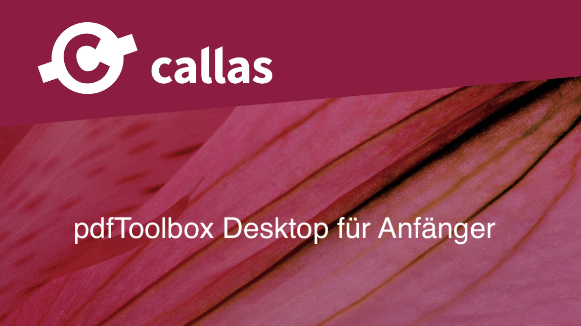 Webinar - pdfToolbox Desktop für Anfänger